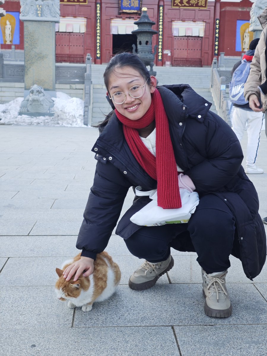五台山壮游遇到的猫